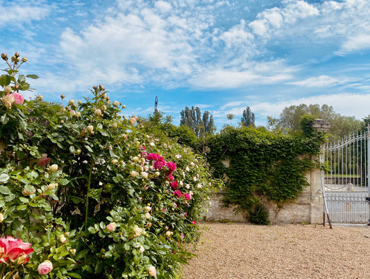 Bienvenue à Maison Adrienne : une parenthèse de charme au bord du Cher